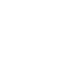 SS-Link
